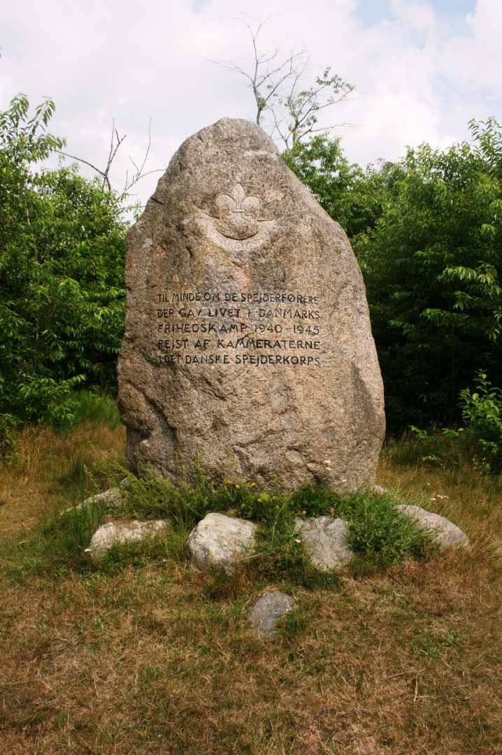 Dines Bogø