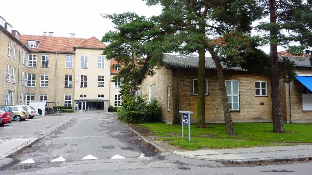 dines bogø