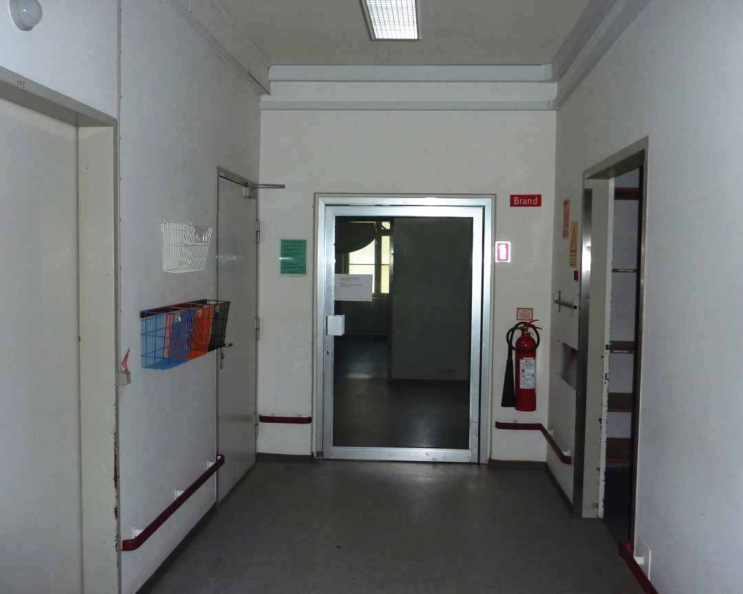 Dines Bogø