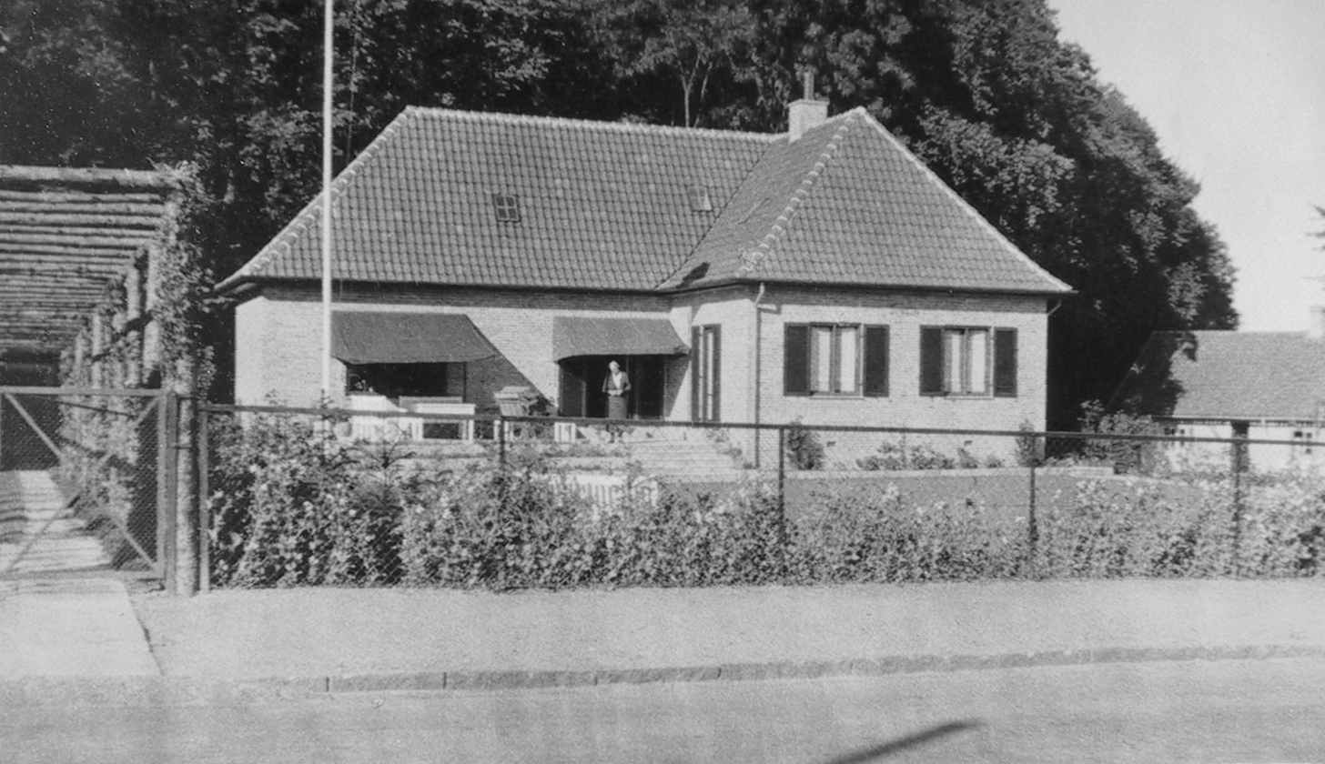 Dines Bogø