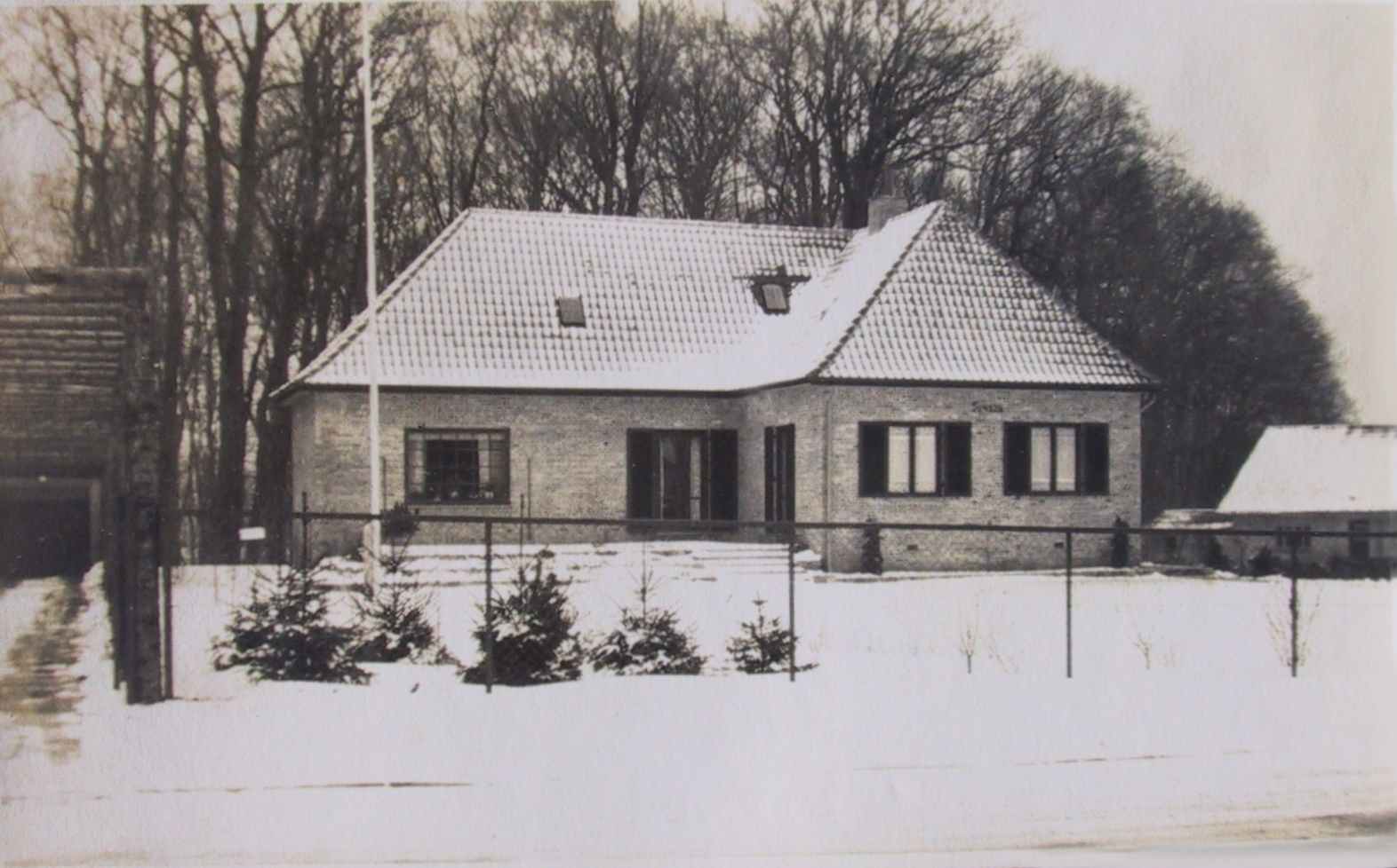 Dines Bogø