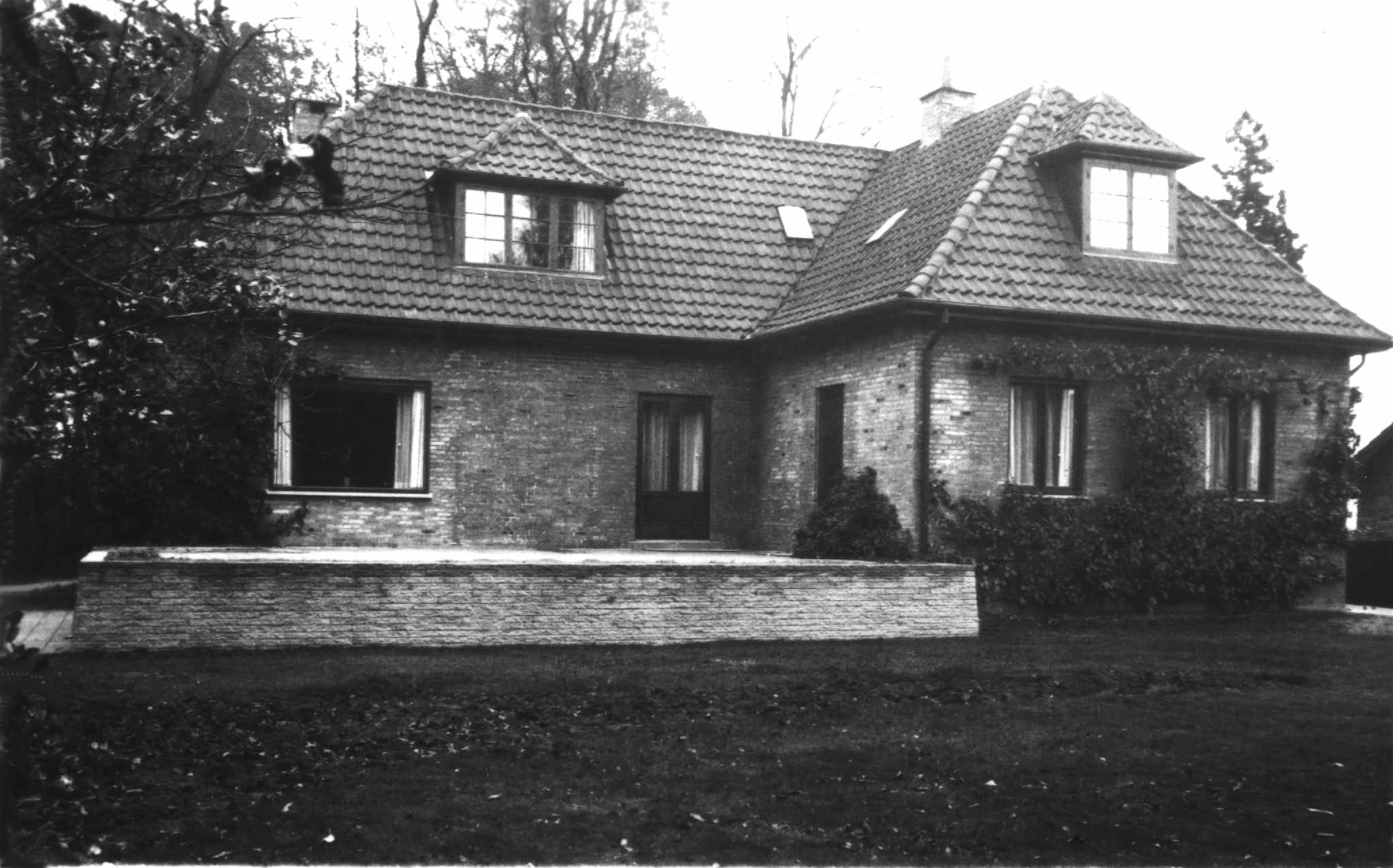 Dines Bogø