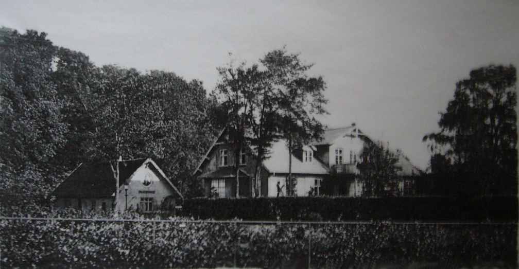 Dines Bogø