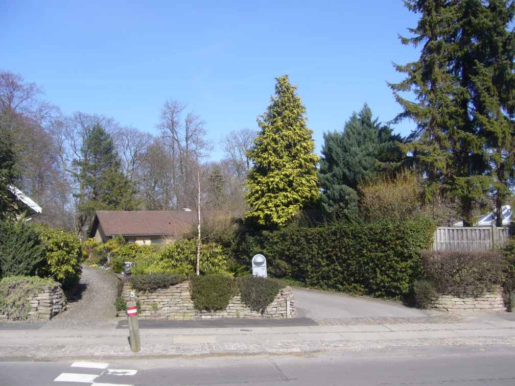 Dines Bogø