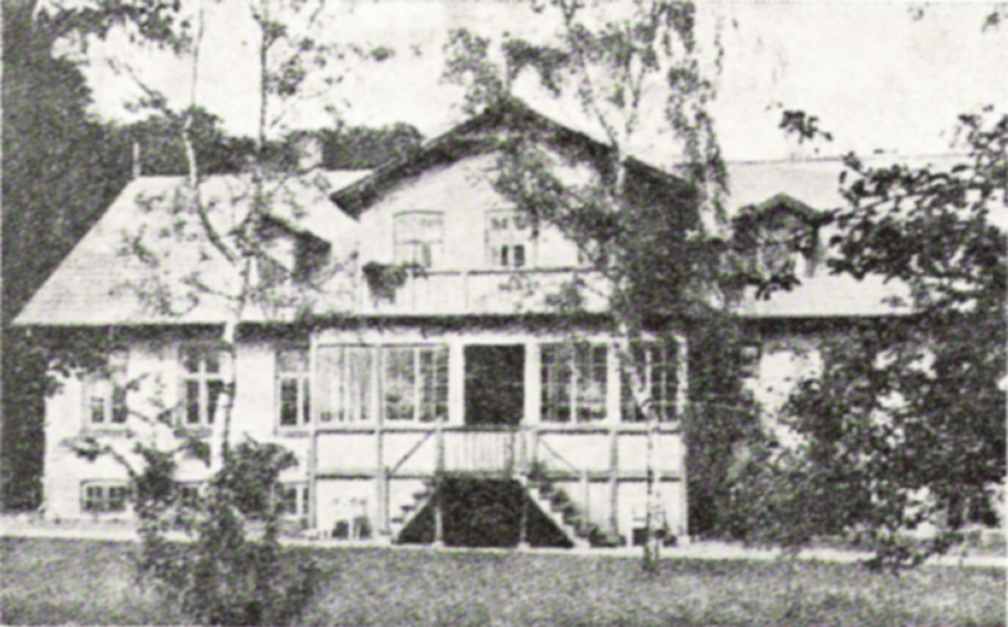 Dines Bogø