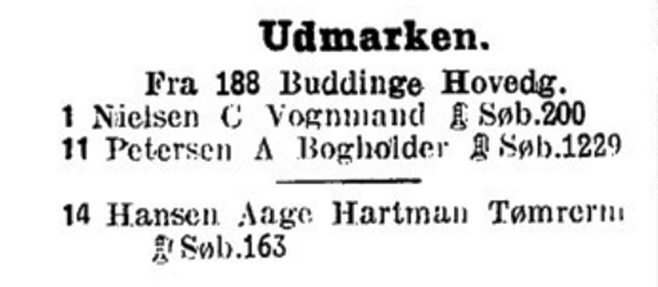 Dines Bogø - Udmarken
