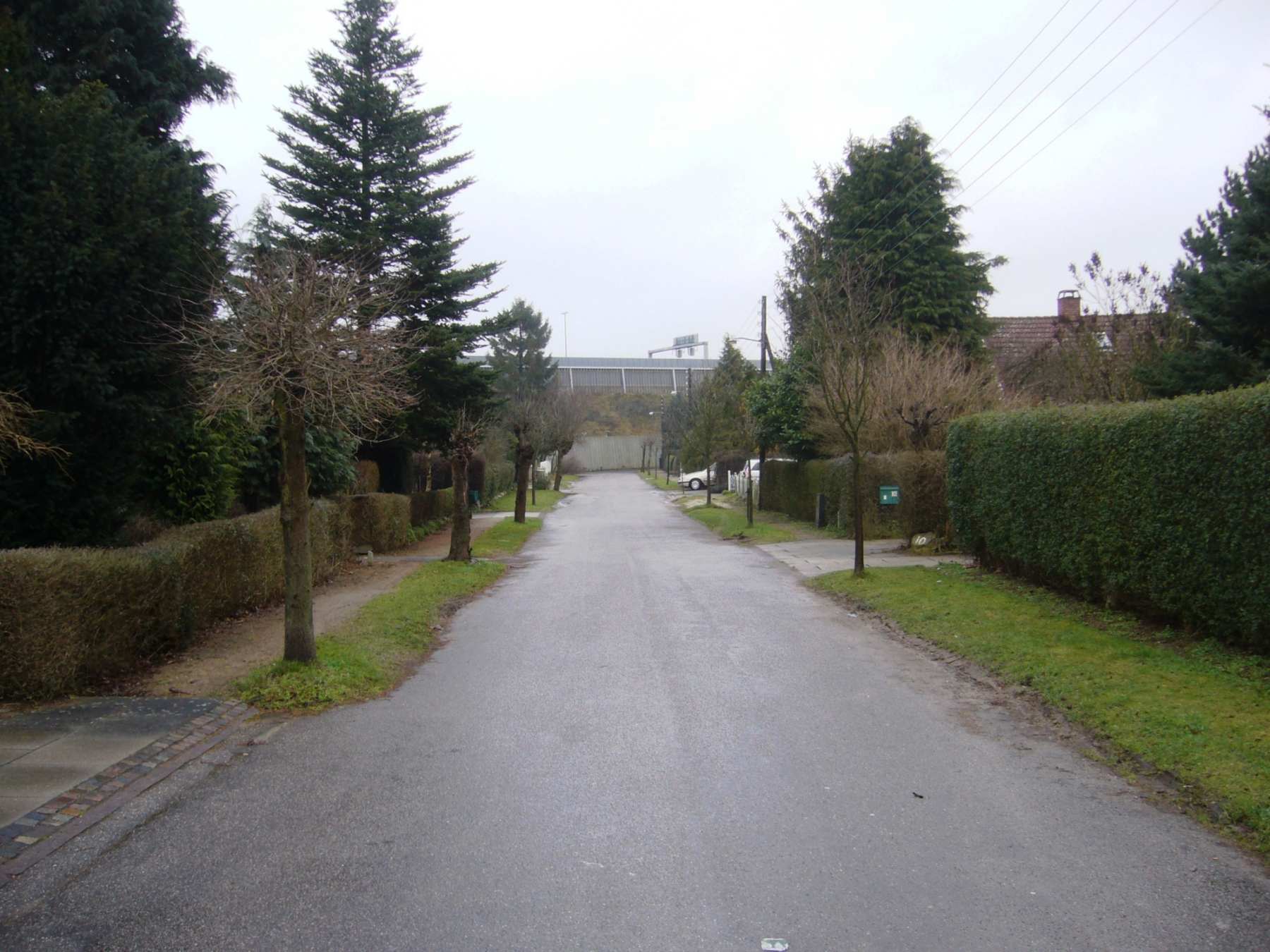 Dines Bogø - Udmarken
