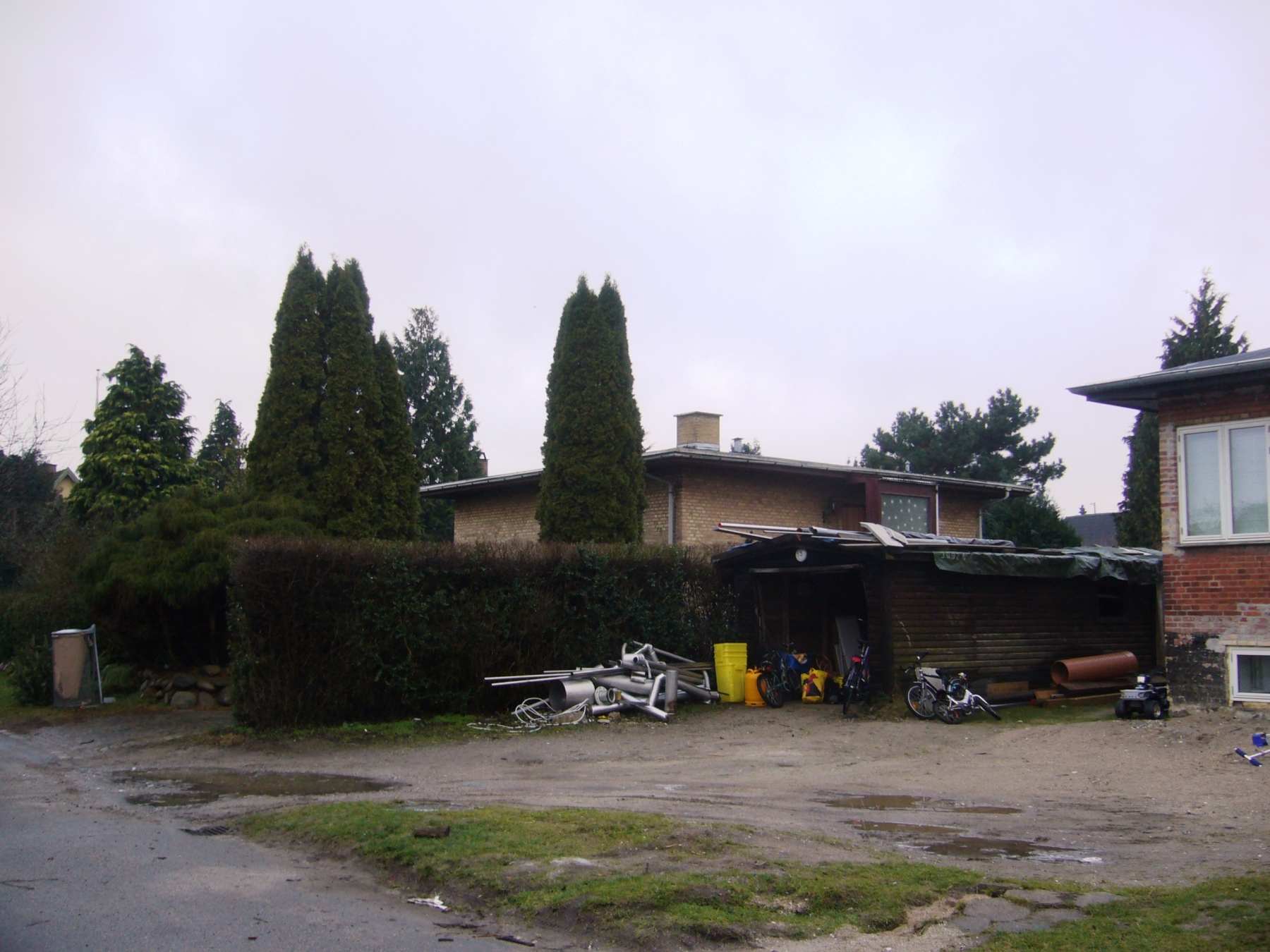 Dines Bogø - Udmarken