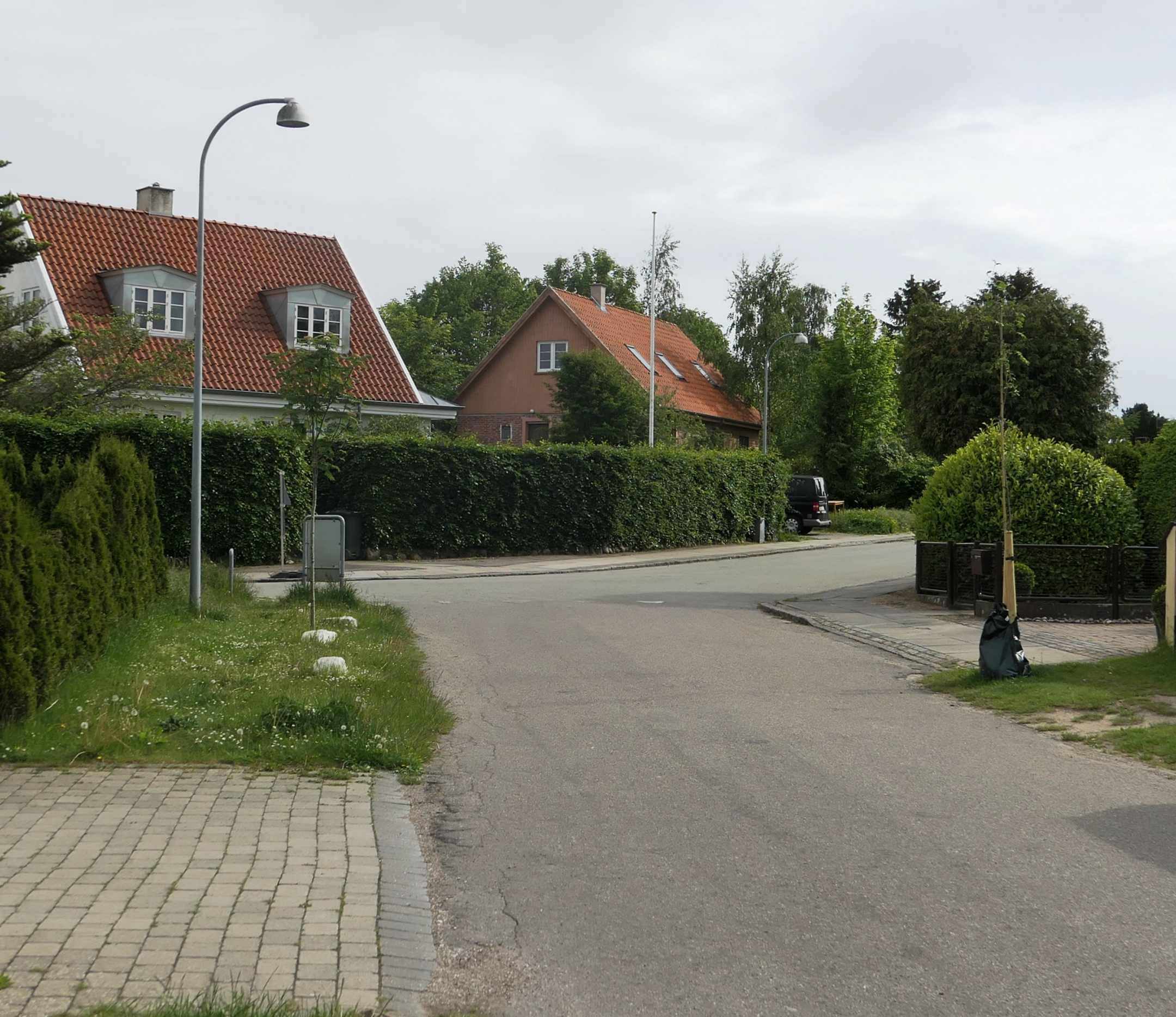 Dines Bogø - Udmarken