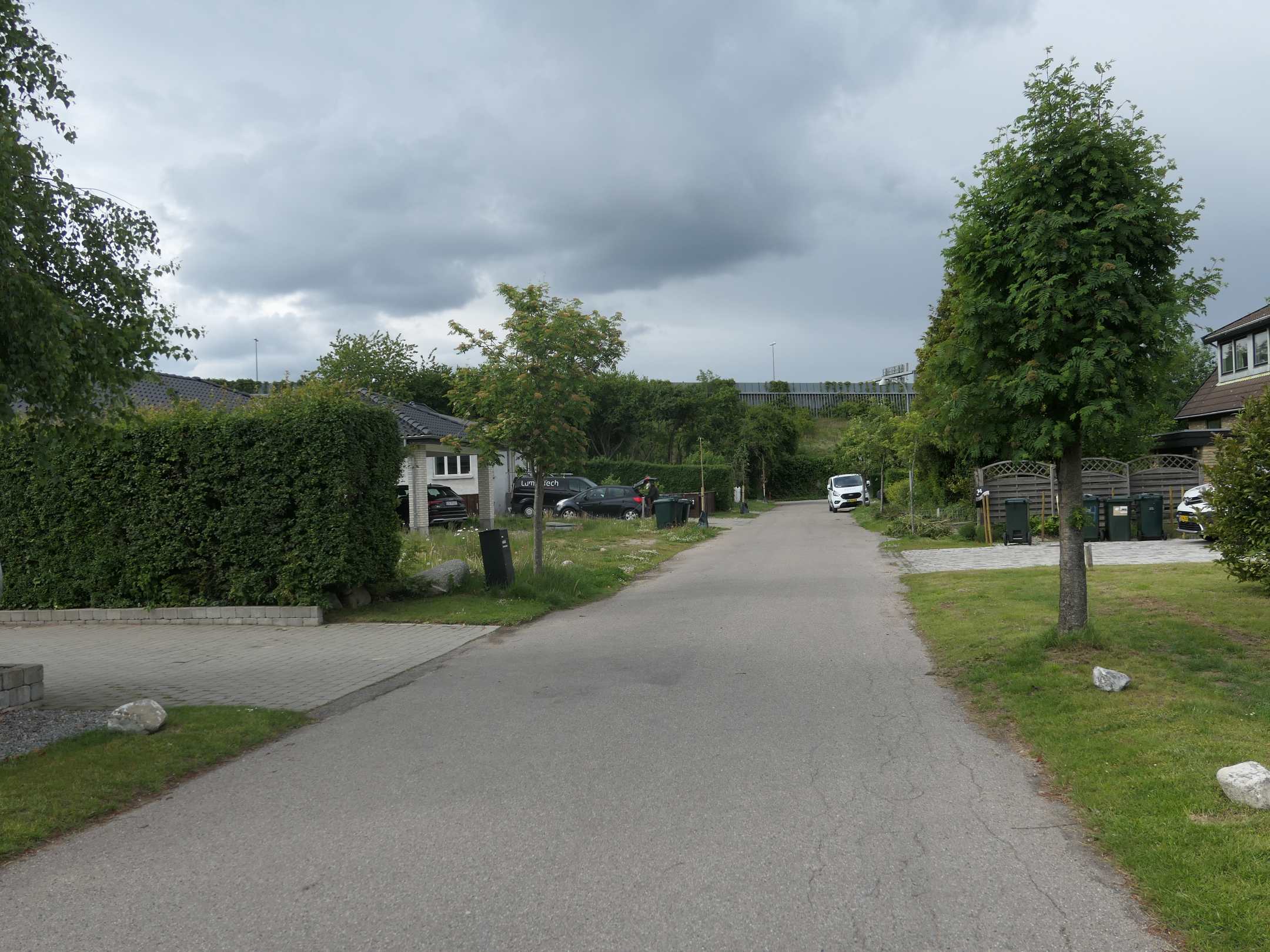 Dines Bogø - Udmarken