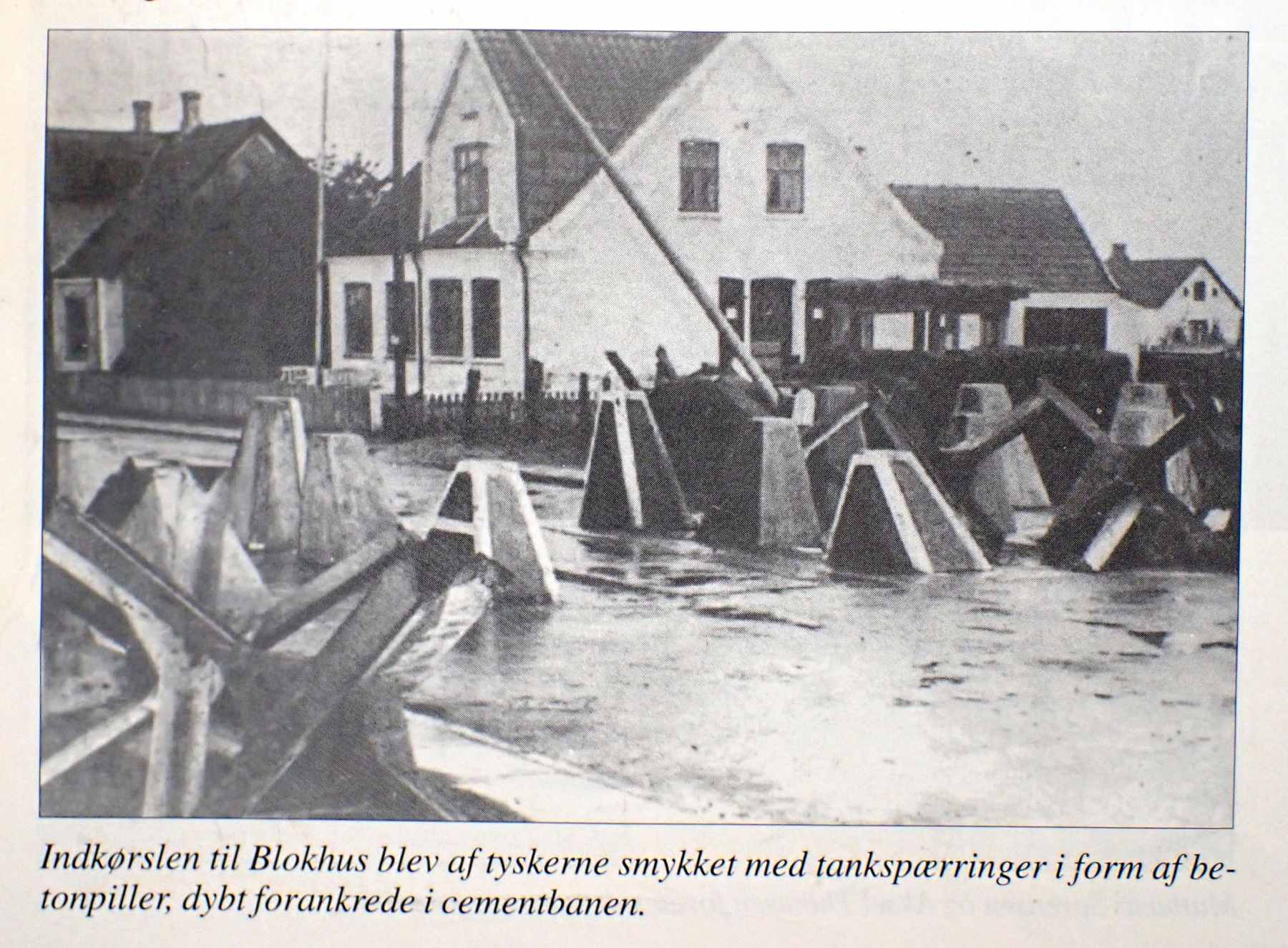 Dines Bogø - 
