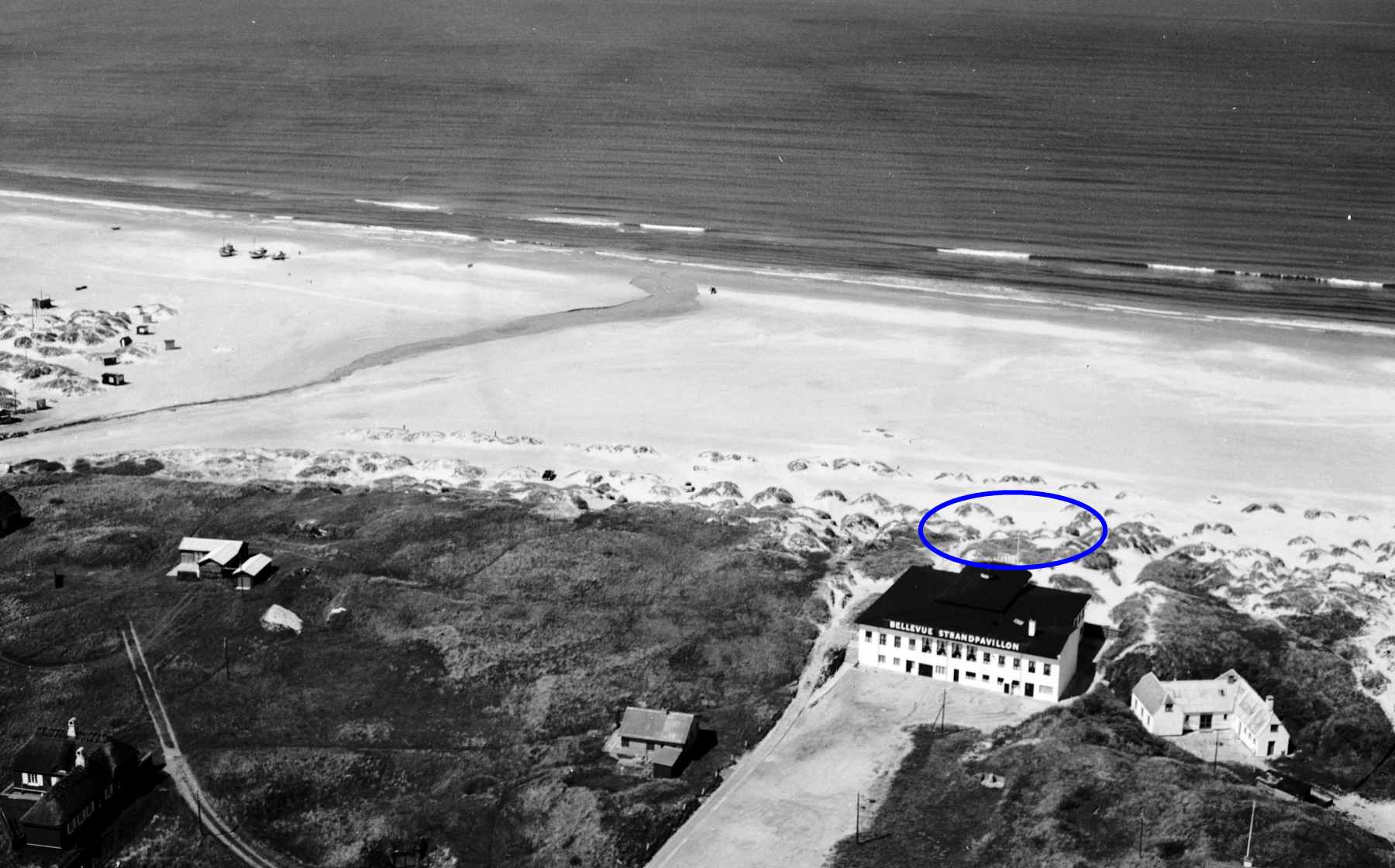 Dines Bogø - 