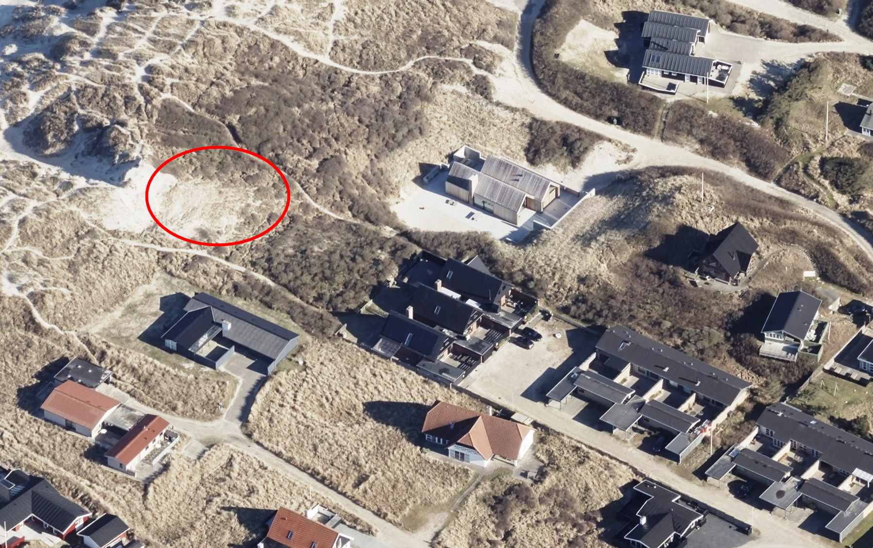 Dines Bogø - 