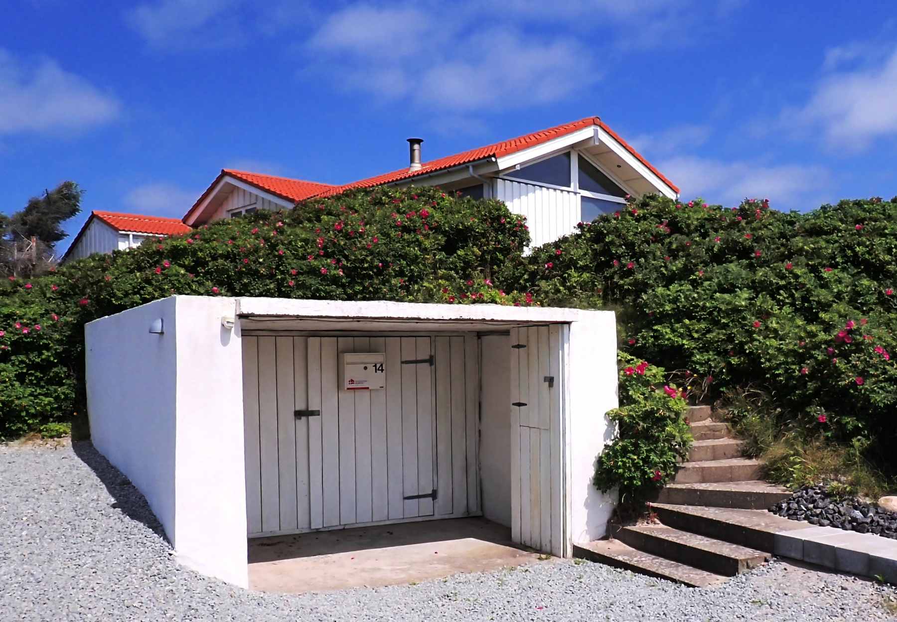 Dines Bogø - 