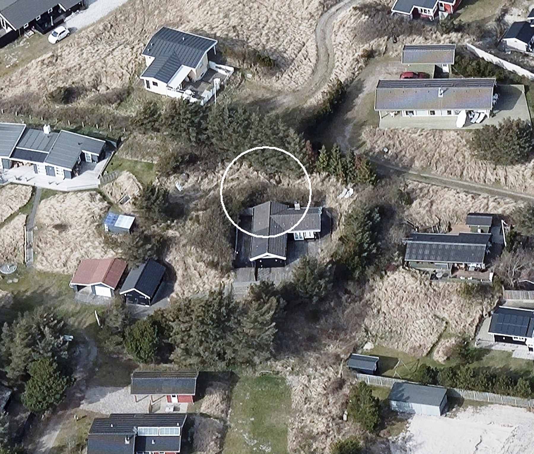 Dines Bogø - 