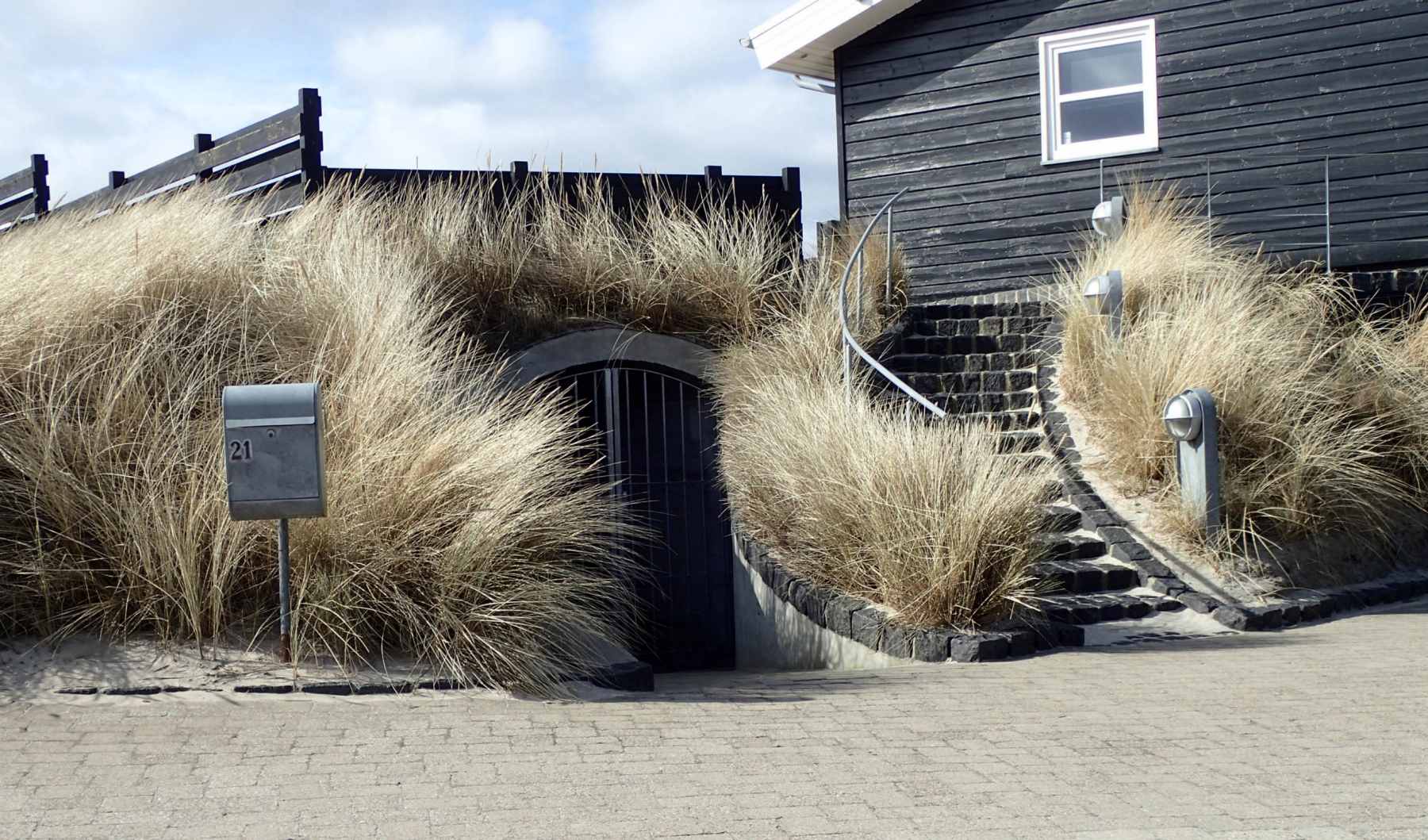 Dines Bogø - 