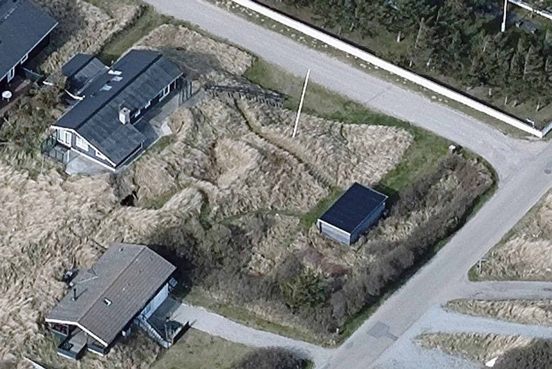 Dines Bogø - 