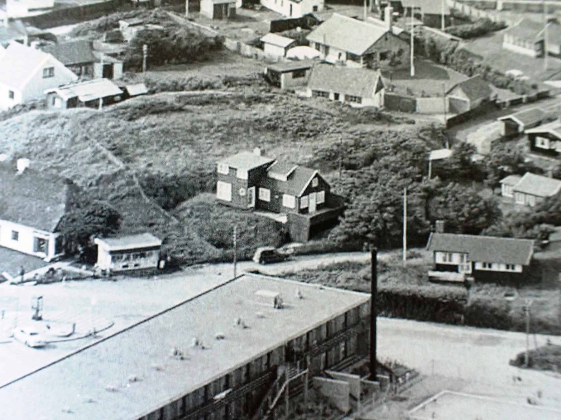 Dines Bogø - 