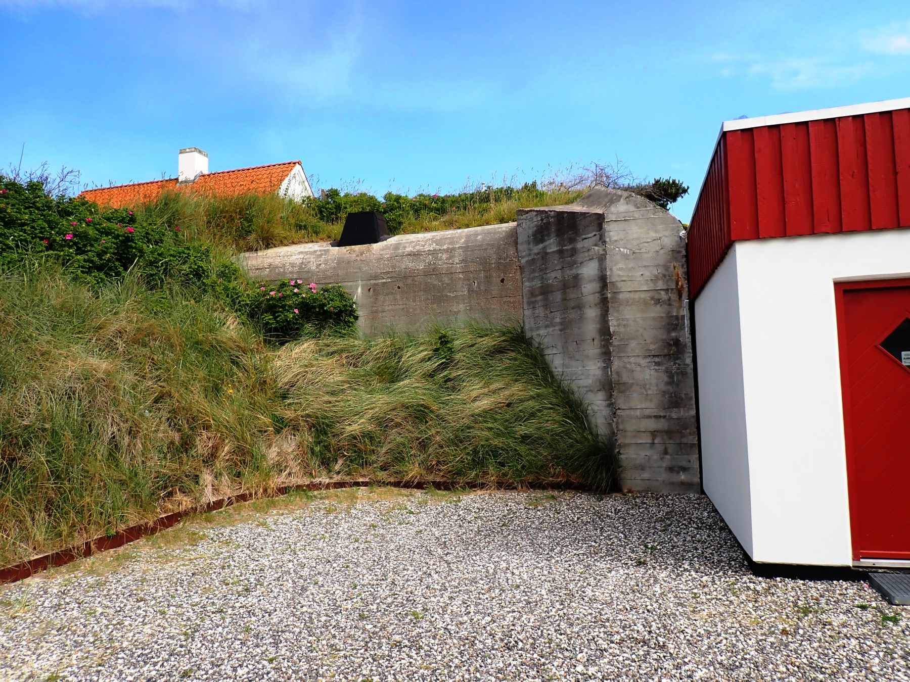 Dines Bogø - 