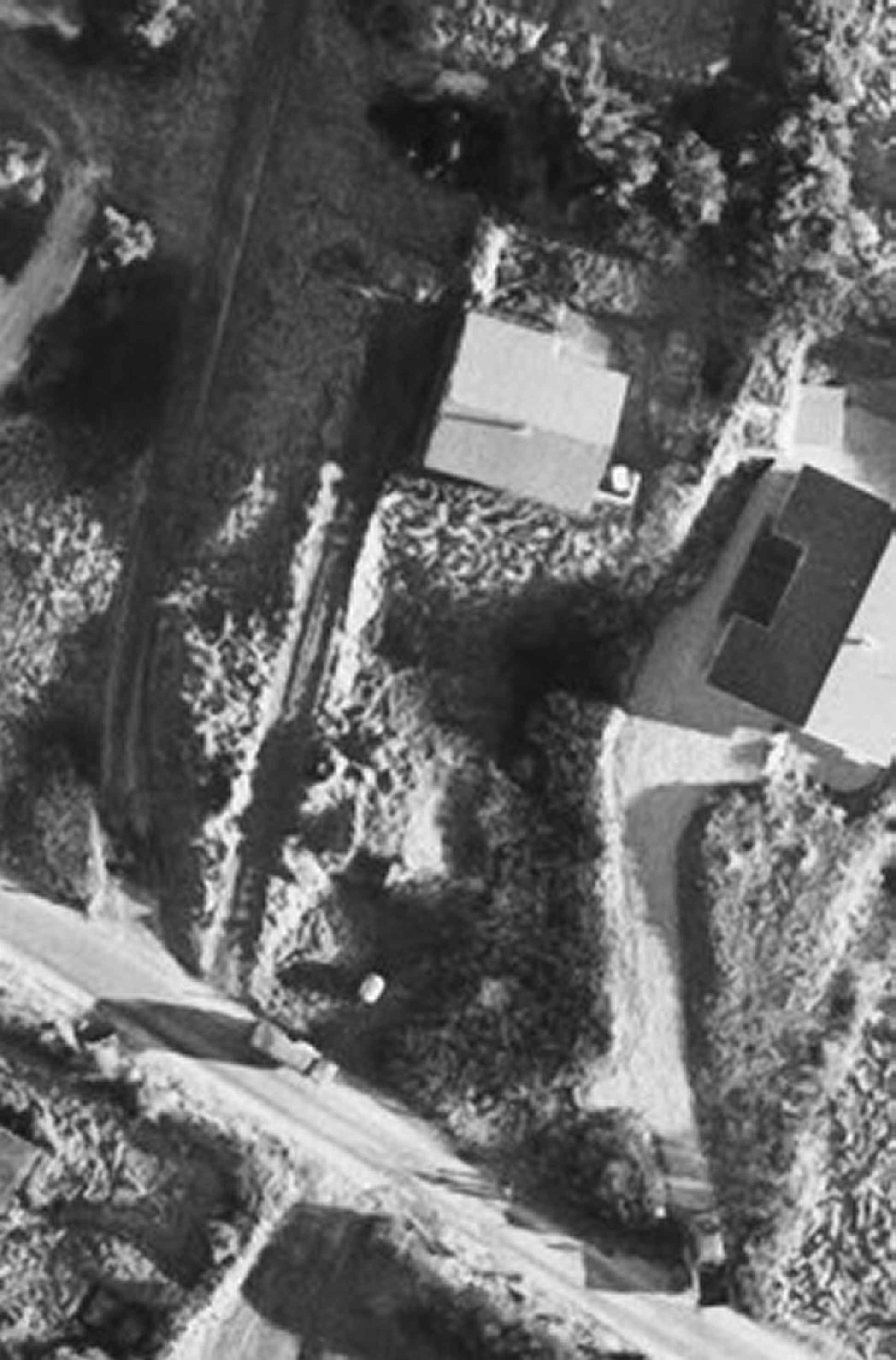 Dines Bogø - 