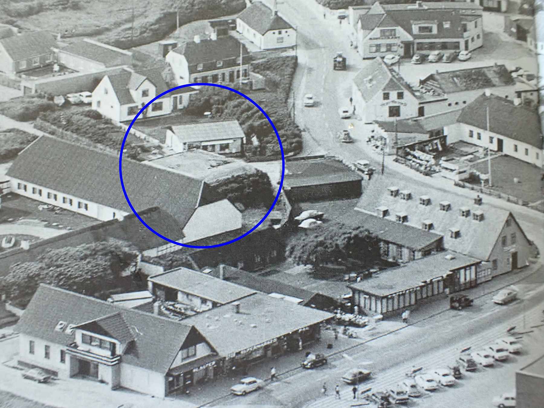 Dines Bogø - 