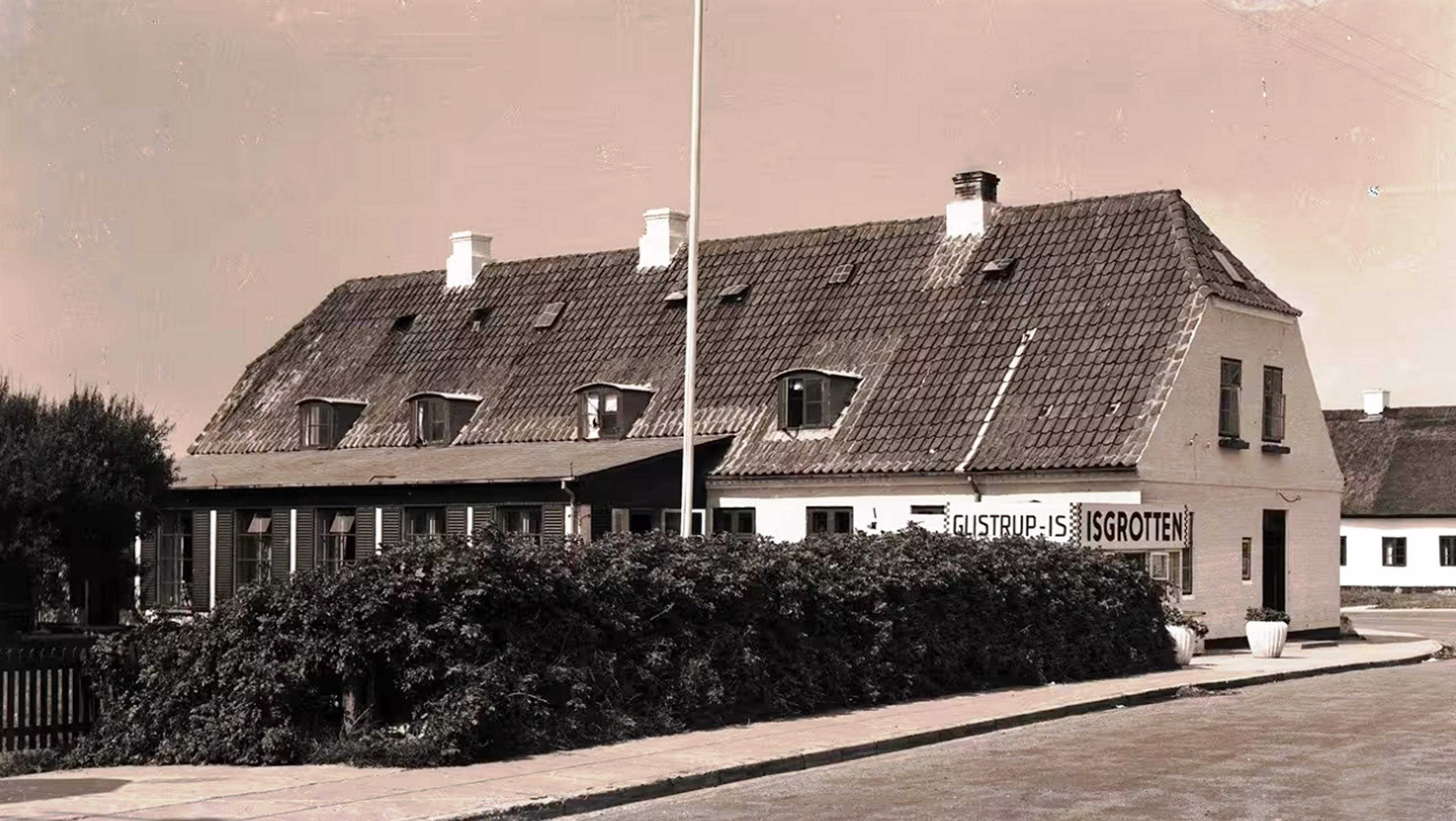 Dines Bogø - 