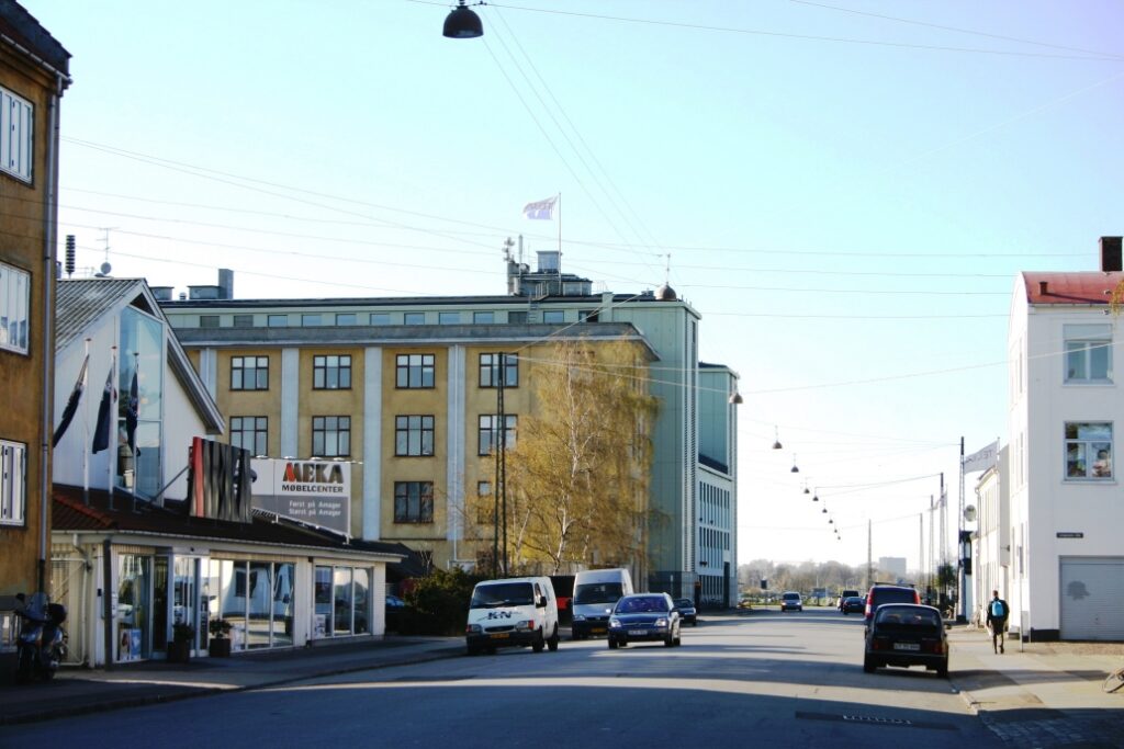 Luftmeldekorpset p Amager - Dines Bog