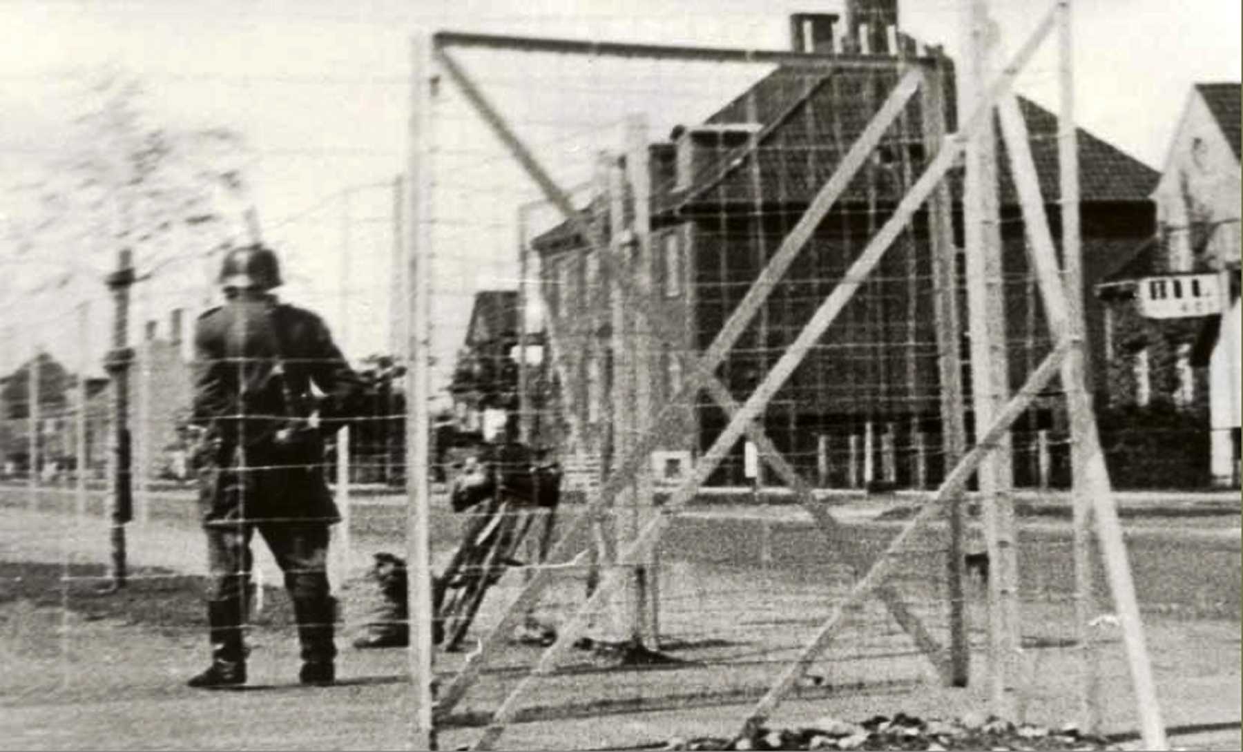 Dines Bog Amager Dines Bog Amager