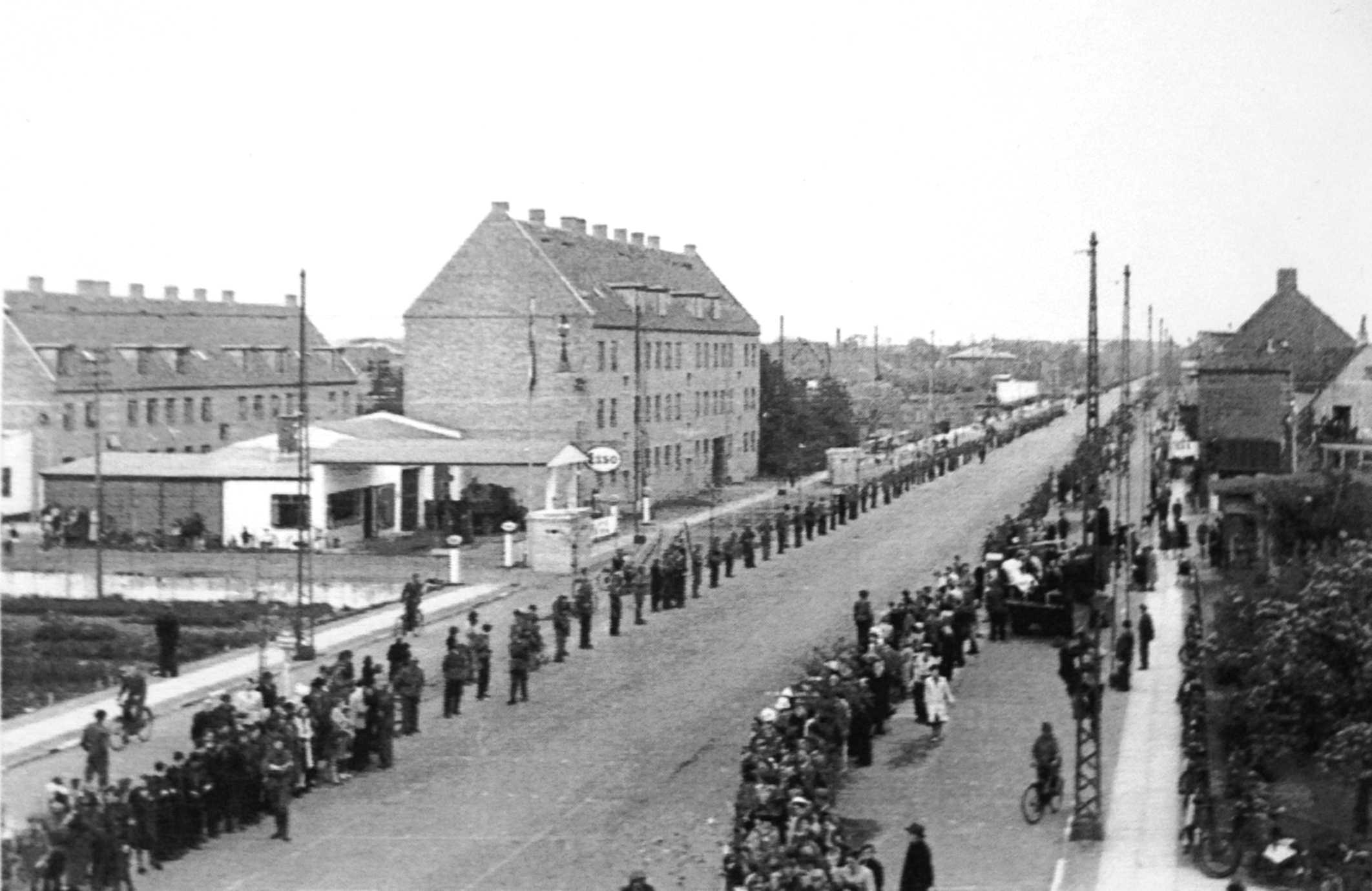 Dines Bog Amager Dines Bog Amager