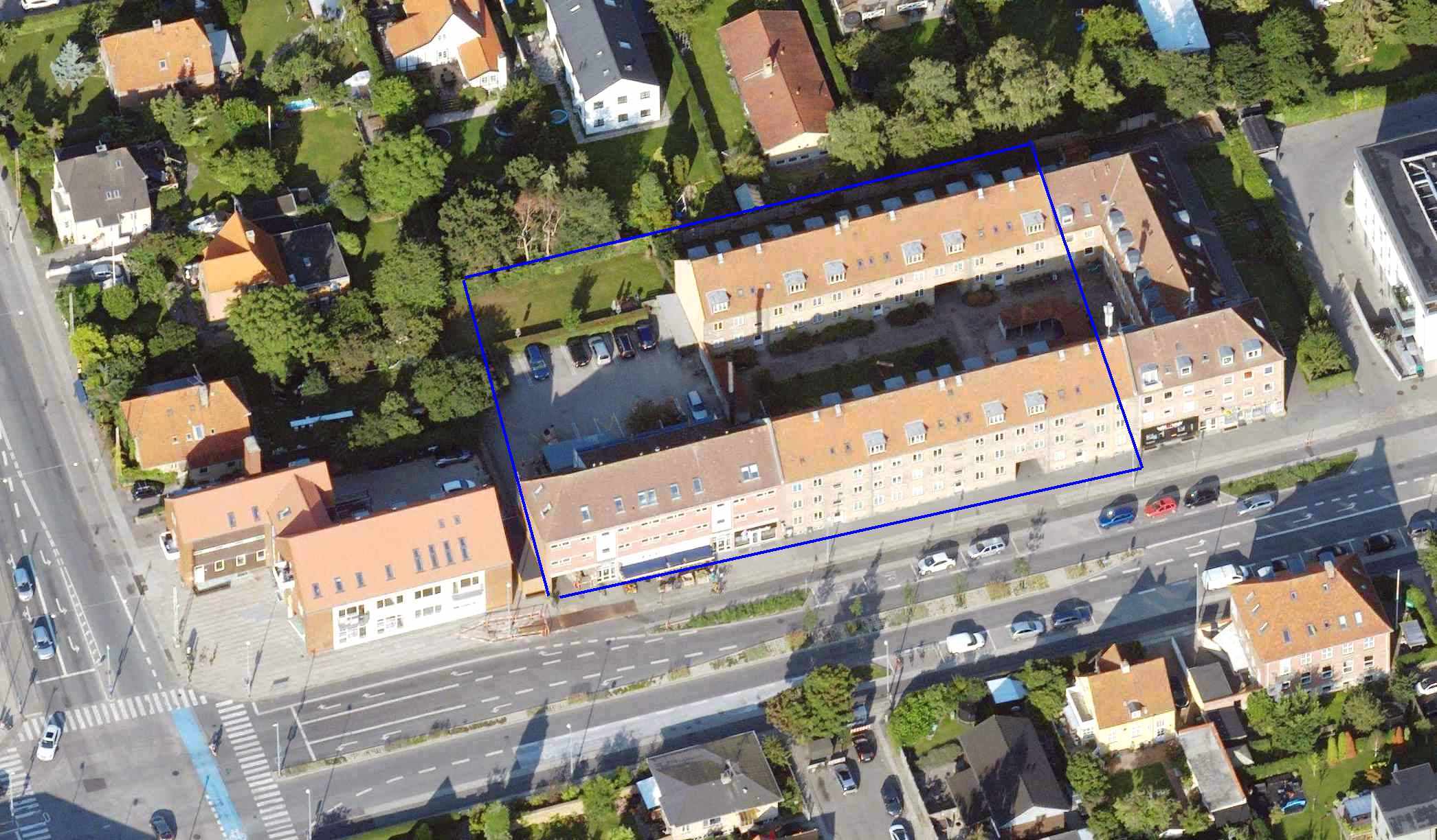 Dines Bog Amager Dines Bog Amager